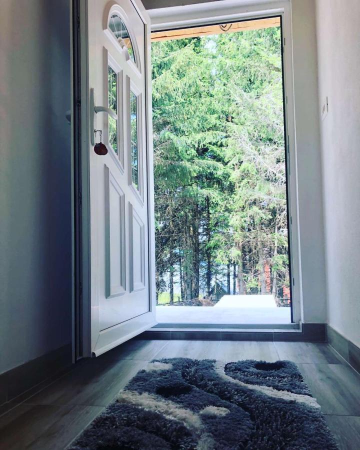 Holiday Home ,,Lazar" Zabljak  Bagian luar foto