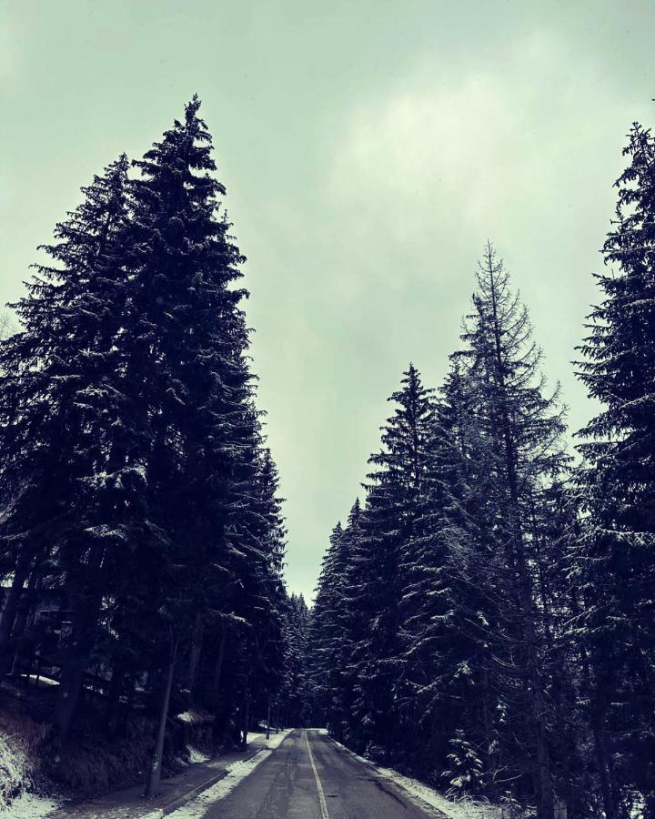 Holiday Home ,,Lazar" Zabljak  Bagian luar foto