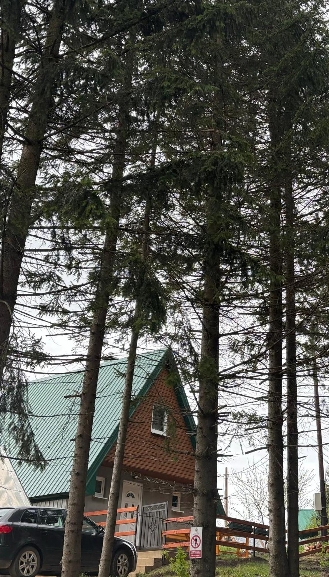 Holiday Home ,,Lazar" Zabljak  Bagian luar foto