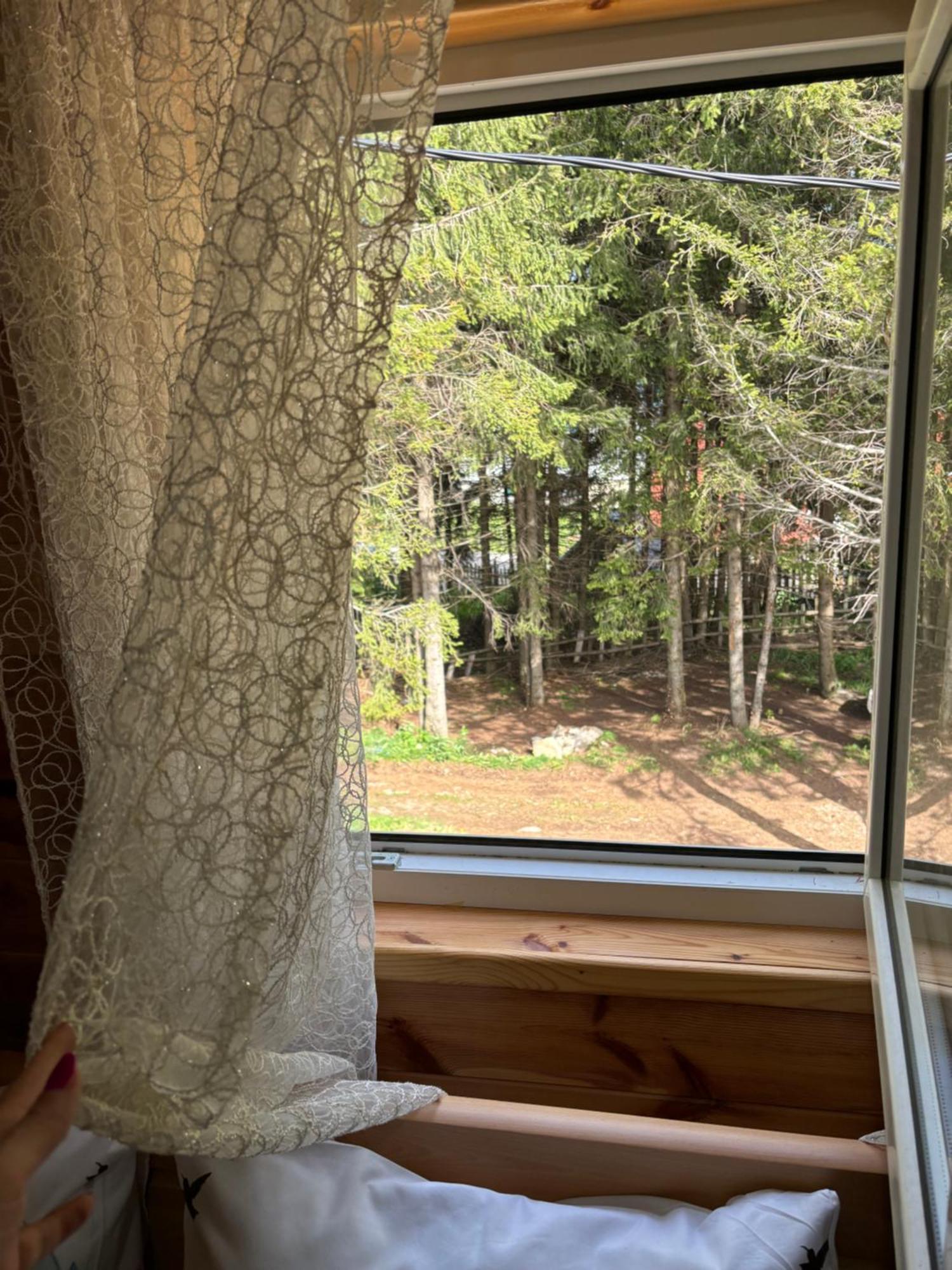 Holiday Home ,,Lazar" Zabljak  Bagian luar foto