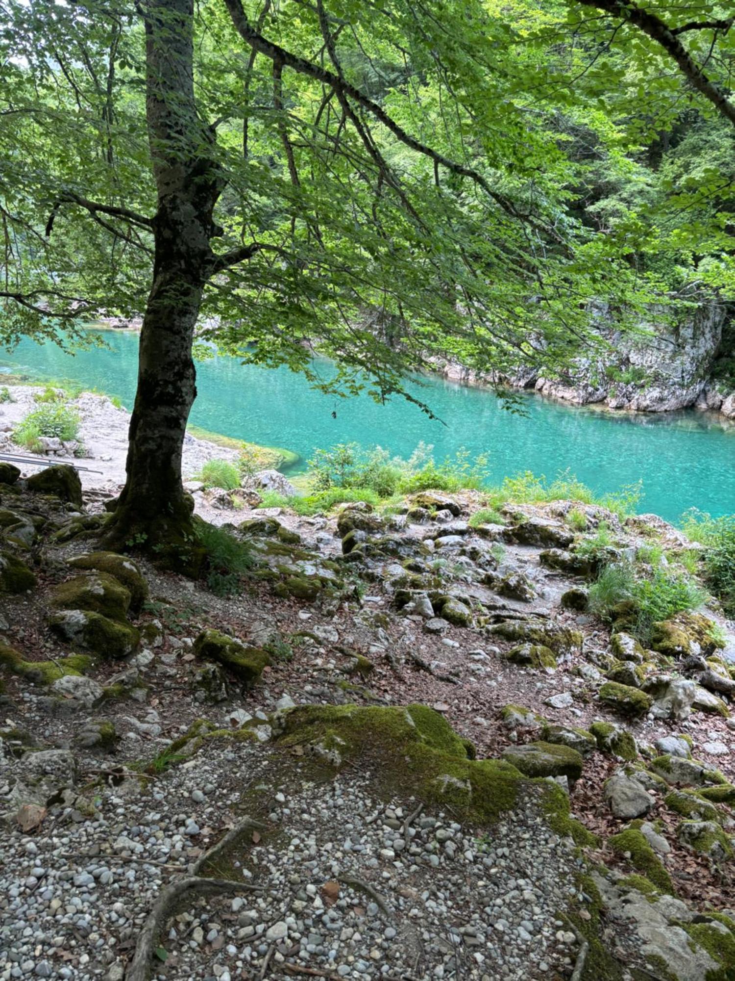 Holiday Home ,,Lazar" Zabljak  Bagian luar foto