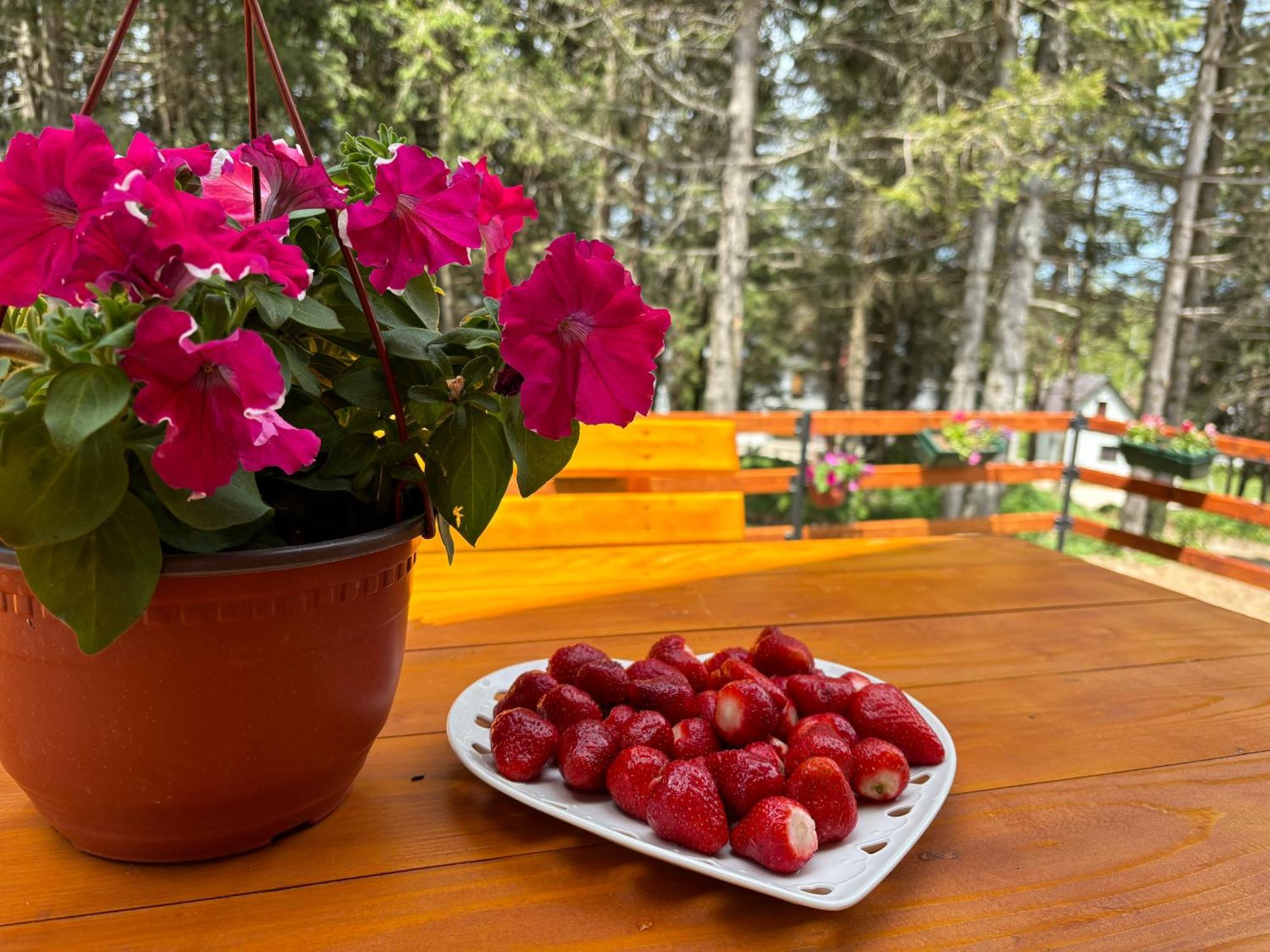 Holiday Home ,,Lazar" Zabljak  Bagian luar foto