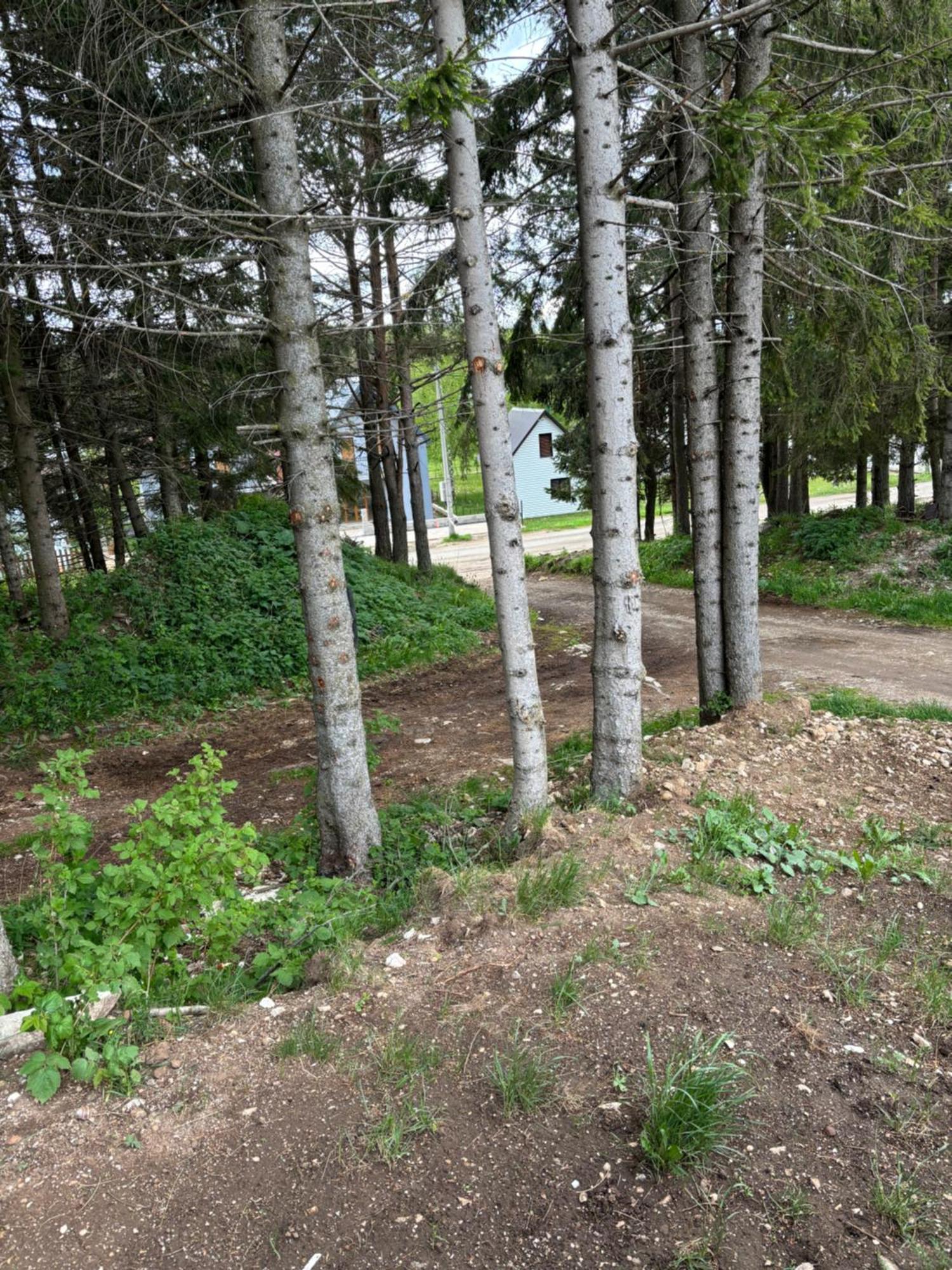 Holiday Home ,,Lazar" Zabljak  Bagian luar foto